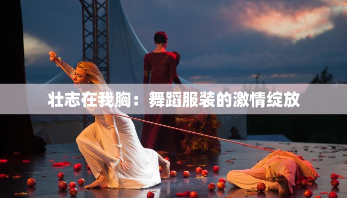 壮志在我胸：舞蹈服装的激情绽放