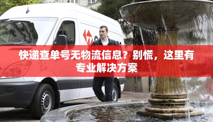 快递查单号无物流信息？别慌，这里有专业解决方案