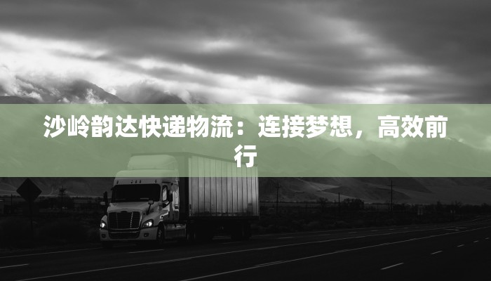 沙岭韵达快递物流:连接梦想,高效前行