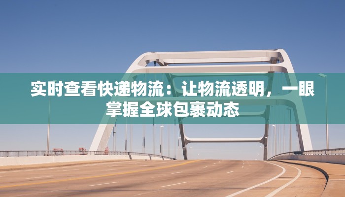 实时查看快递物流：让物流透明，一眼掌握全球包裹动态