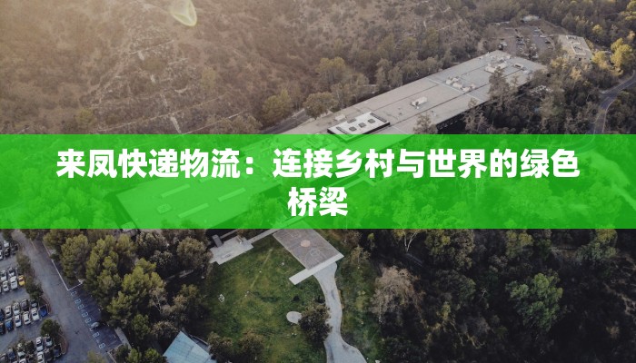 来凤快递物流:连接乡村与世界的绿色桥梁