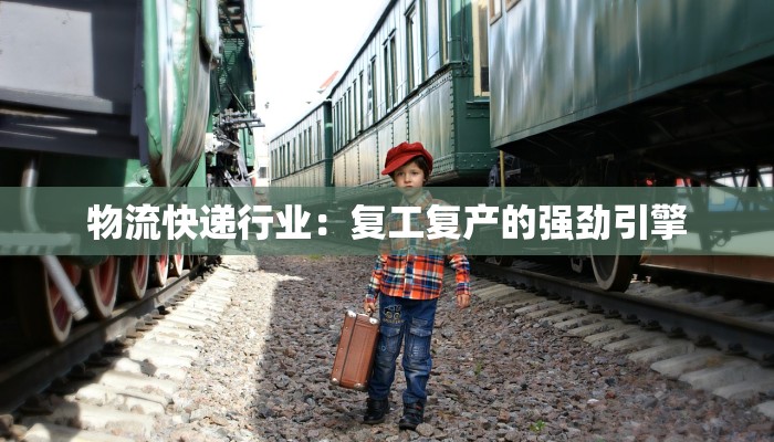 物流快递行业：复工复产的强劲引擎