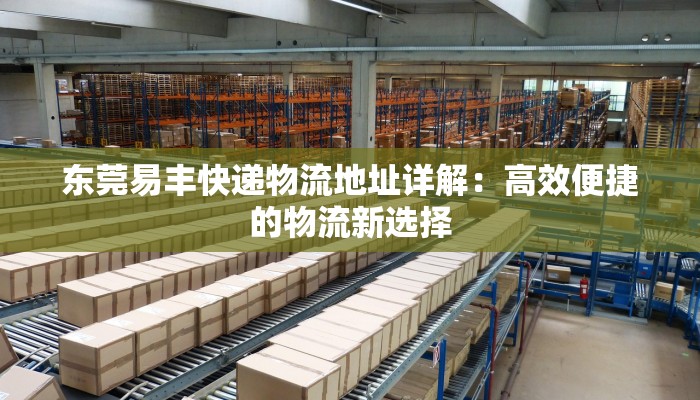 东莞易丰快递物流地址详解：高效便捷的物流新选择