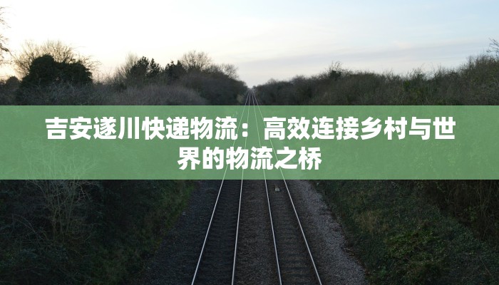 吉安遂川快递物流：高效连接乡村与世界的物流之桥