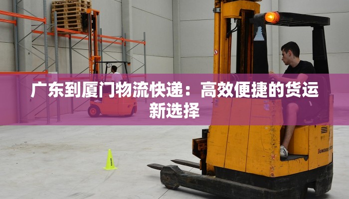 中通快递物流单号跟踪：您的包裹之旅，一键掌握