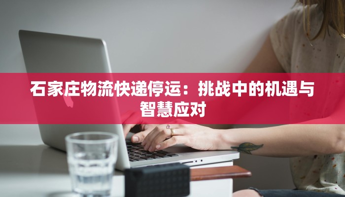 石家庄物流快递停运：挑战中的机遇与智慧应对