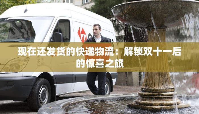 现在还发货的快递物流：解锁双十一后的惊喜之旅