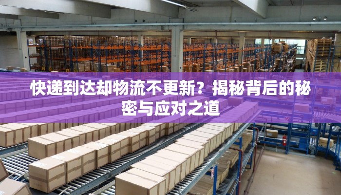 快递到达却物流不更新？揭秘背后的秘密与应对之道