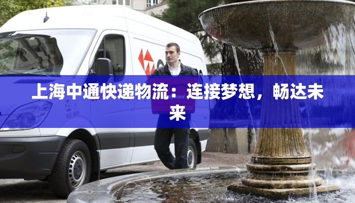 上海中通快递物流：连接梦想，畅达未来