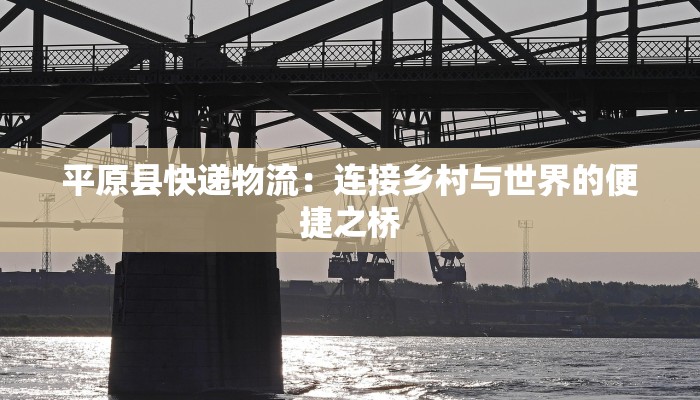 平原县快递物流：连接乡村与世界的便捷之桥