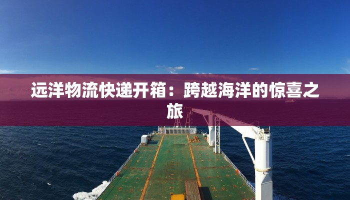 远洋物流快递开箱：跨越海洋的惊喜之旅
