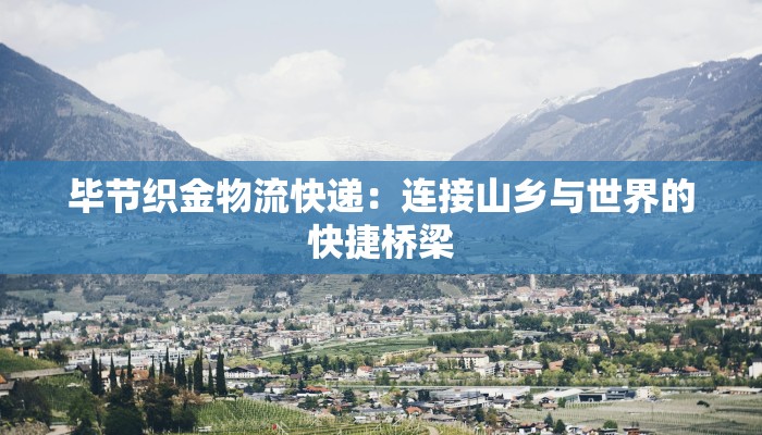 毕节织金物流快递:连接山乡与世界的快捷桥梁