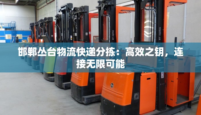 邯郸丛台物流快递分拣：高效之钥，连接无限可能