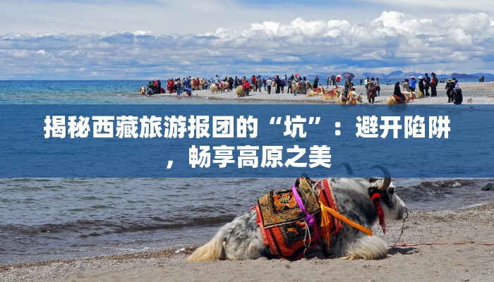 揭秘西藏旅游报团的“坑”：避开陷阱，畅享高原之美