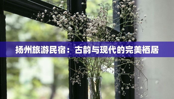 扬州旅游民宿：古韵与现代的完美栖居