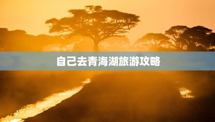 自己去青海湖旅游攻略