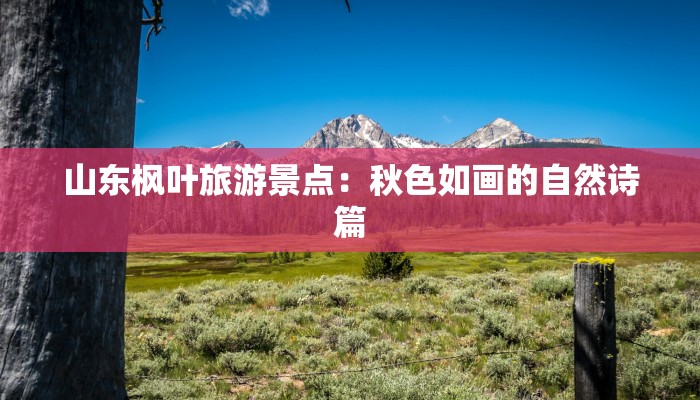 山东枫叶旅游景点：秋色如画的自然诗篇