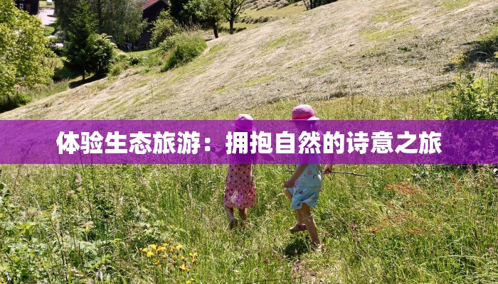 体验生态旅游：拥抱自然的诗意之旅