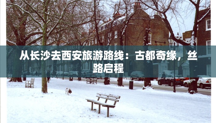 挠美女痒痒作文