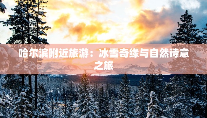 哈尔滨附近旅游：冰雪奇缘与自然诗意之旅