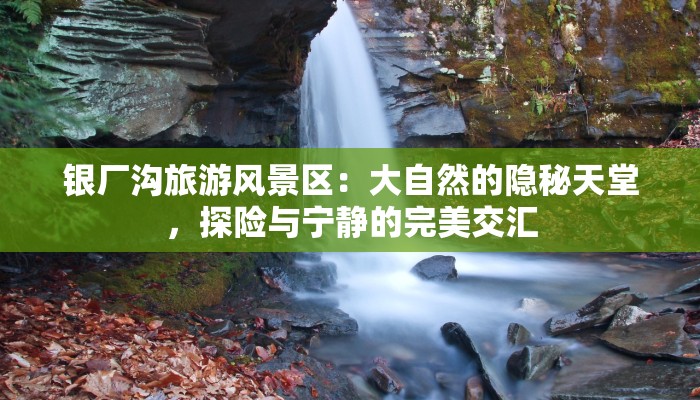 南岗疫情最新：科学防控，共筑健康屏障