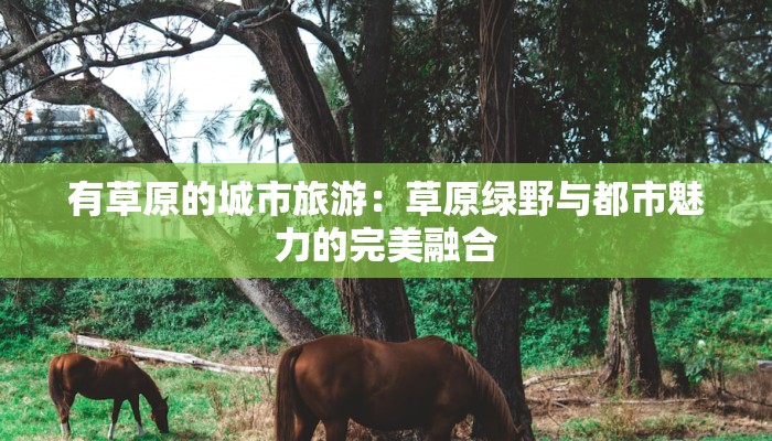 有草原的城市旅游：草原绿野与都市魅力的完美融合