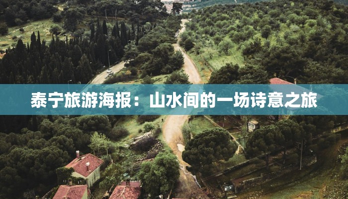 泰宁旅游海报:山水间的一场诗意之旅