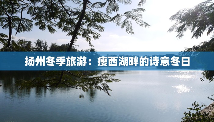 扬州冬季旅游：瘦西湖畔的诗意冬日