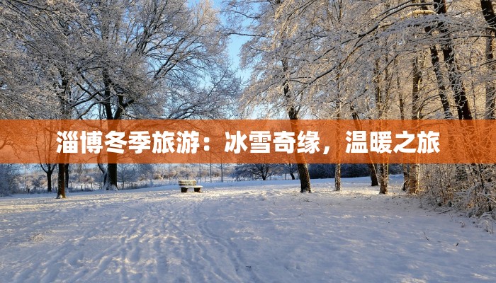 淄博冬季旅游:冰雪奇缘,温暖之旅