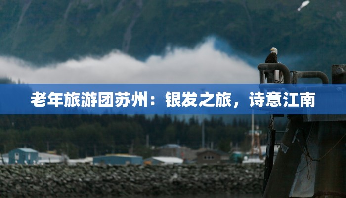 老年旅游团苏州：银发之旅，诗意江南