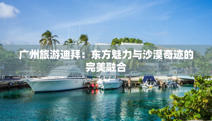 广州旅游迪拜：东方魅力与沙漠奇迹的完美融合