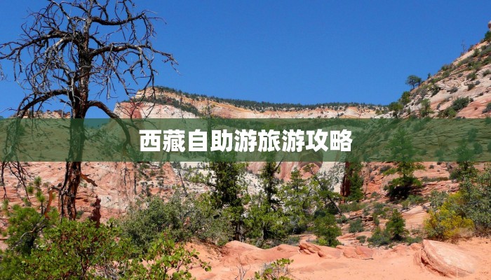 西藏自助游旅游攻略