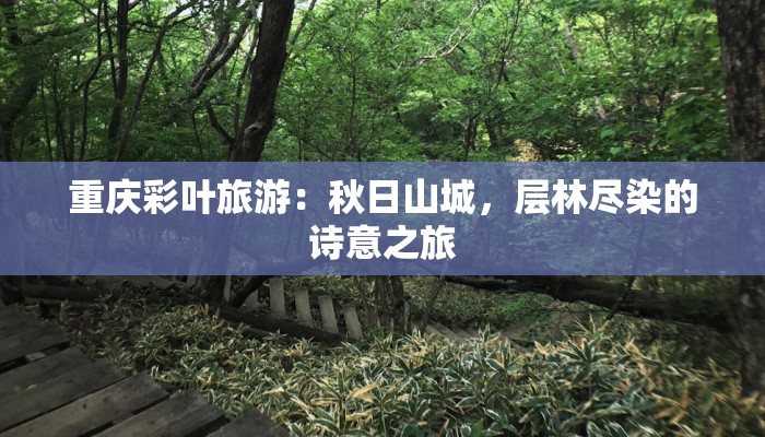 重庆彩叶旅游：秋日山城，层林尽染的诗意之旅