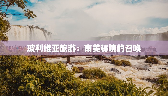 关于诚实守信的作文