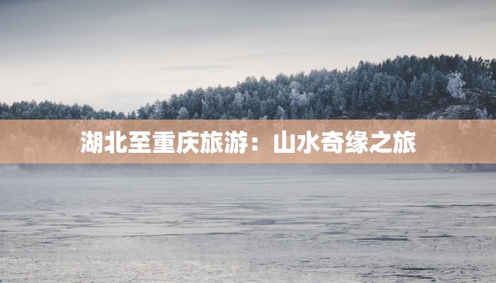 皇姑疫情最新报告