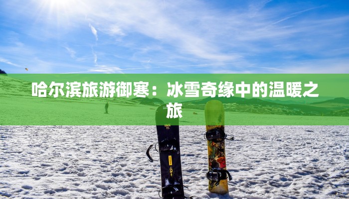 哈尔滨旅游御寒:冰雪奇缘中的温暖之旅