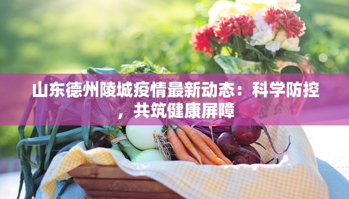 山东德州陵城疫情最新动态:科学防控,共筑健康屏障