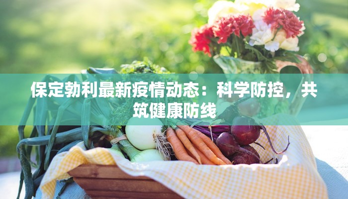 保定勃利最新疫情动态：科学防控，共筑健康防线