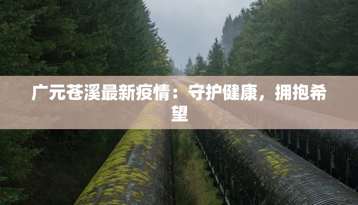 广元苍溪最新疫情：守护健康，拥抱希望