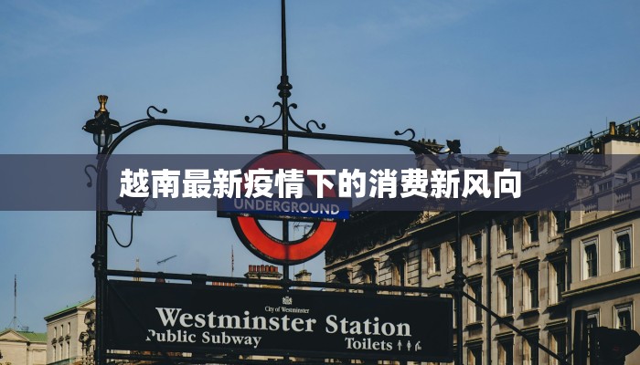越南最新疫情下的消费新风向