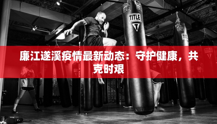 廉江遂溪疫情最新动态：守护健康，共克时艰