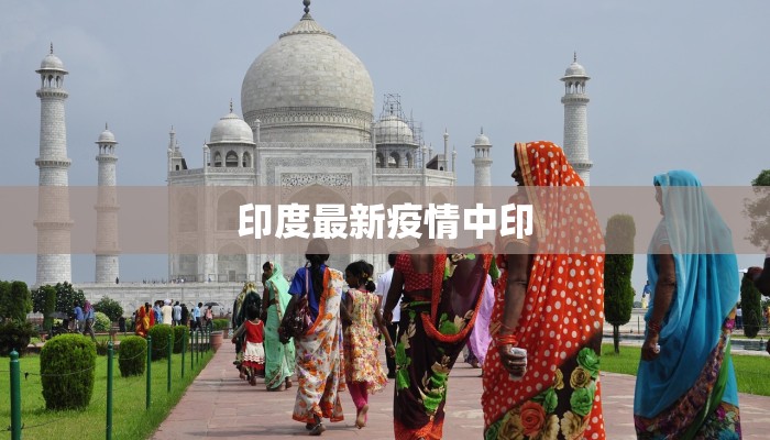 印度最新疫情中印