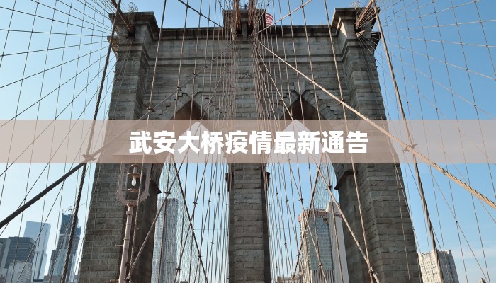 武安大桥疫情最新通告