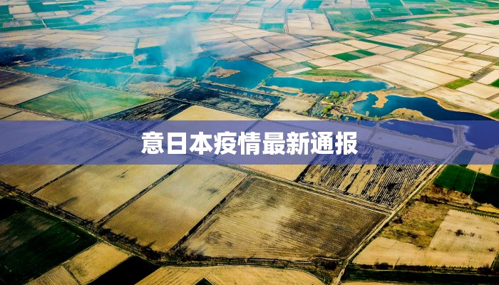 意日本疫情最新通报