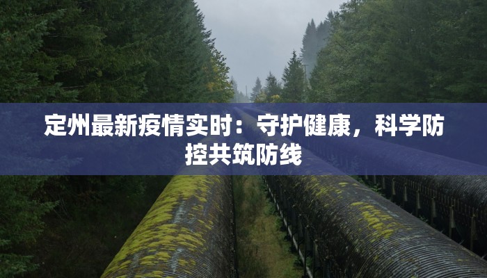 定州最新疫情实时:守护健康,科学防控共筑防线