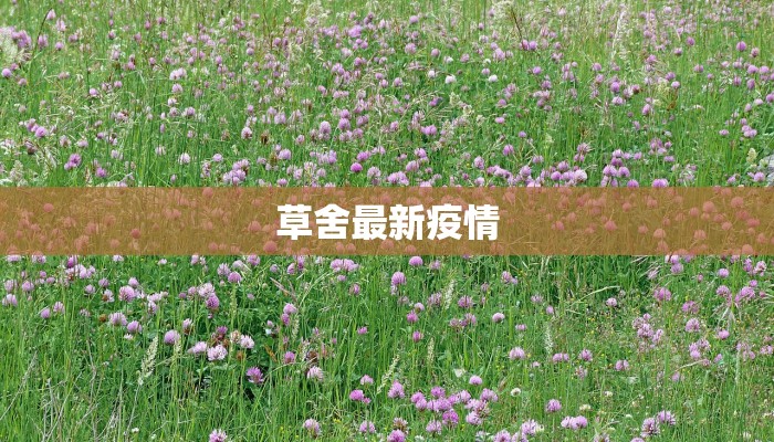 有关孝敬父母的作文