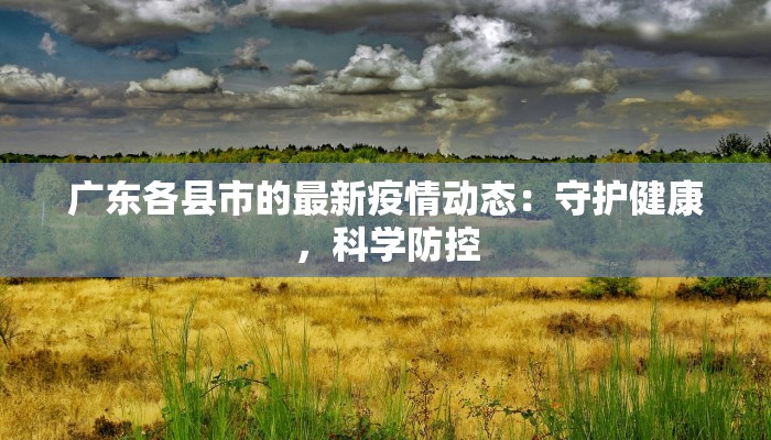 广东各县市的最新疫情动态:守护健康,科学防控