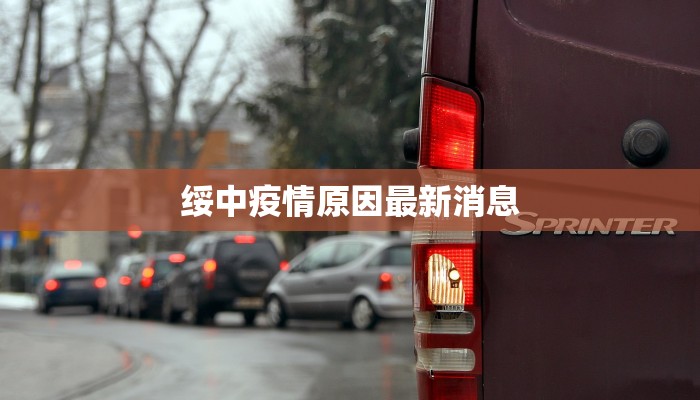 绥中疫情原因最新消息