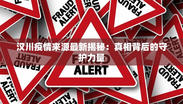 汉川疫情来源最新揭秘：真相背后的守护力量