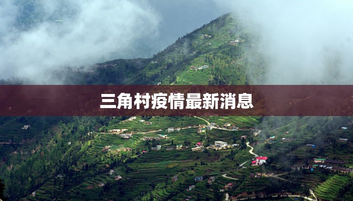 三角村疫情最新消息